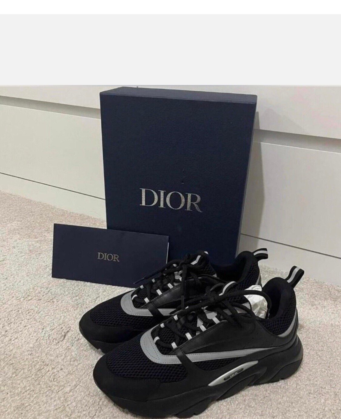 dior B22